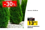 Thuja Indeks