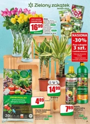 Tanie zakupy każdego dnia – Dino