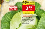Kapusta młoda