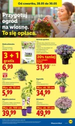 Smak świeżości za mniej - Lidl