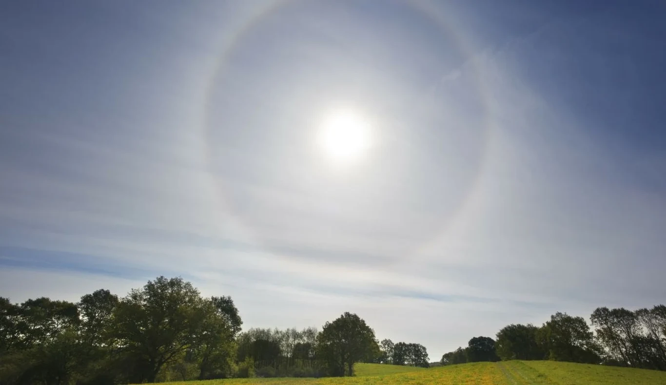 Jak powstaje zjawisko halo na niebie? Słońce na niebie otoczone wyraźnym halo, powyżej zielonego pola i rzędów drzew na horyzoncie.