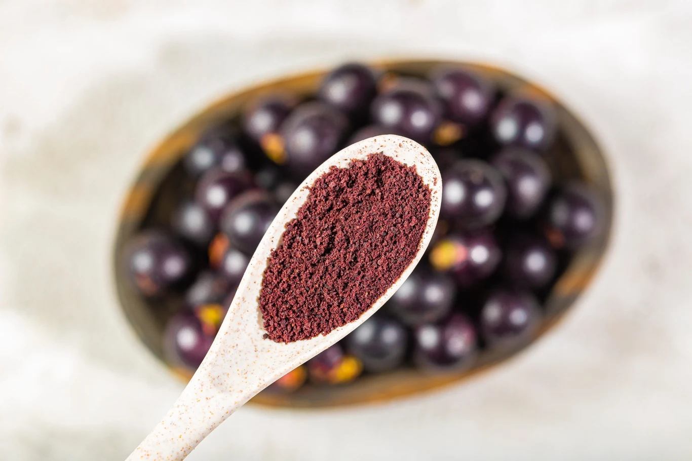 Proszek z jagód acai