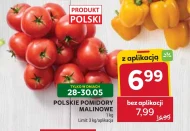 Pomidory Polski