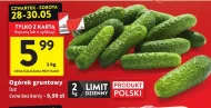 Ogórek Polski