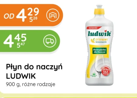 Засіб для миття посуду Ludwik