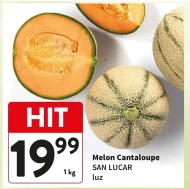 Melon San Lucar