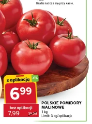 Pomidory