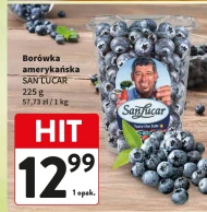 Borówka amerykańska San Lucar