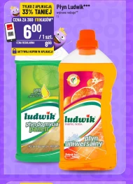 Універсальна рідина Ludwik