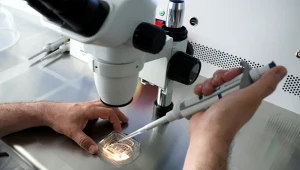 Procedura finansowania programu in vitro wzbudza kontrowersje