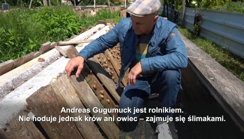 Slow food: miasto, które niegdyś karmiło Europę ślimakami, znów wraca do gry