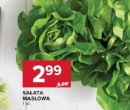 Sałata masłowa
