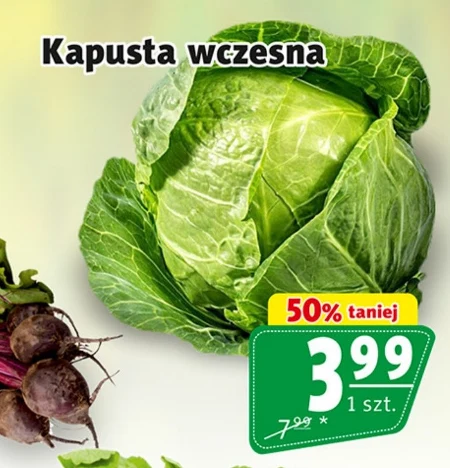 Капуста
