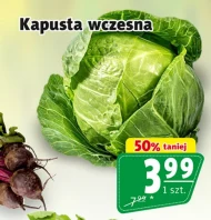 Капуста