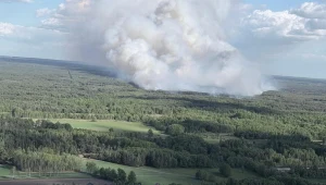 Duży pożar lasu w Międzylesiu pod Warszawą