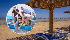Rekiny u wybrzeży Egiptu. W popularnych kurortach wydano ostrzeżenia