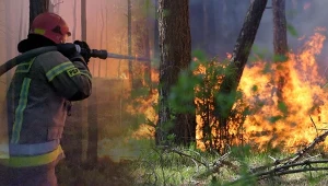 Ogień objął ponad 100 hektarów. Trwa walka z pożarem lasu na Mazowszu