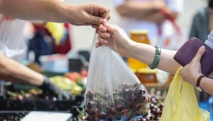 Jedne czereśnie pięć razy droższe od innych. Wiemy, które smakują lepiej