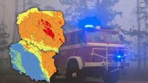 W polskich lasach wciąż jest niebezpiecznie. "Wystarczy chwila nieuwagi"