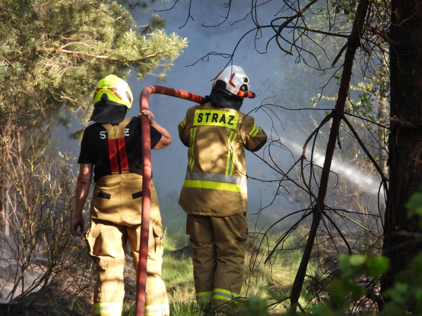 Dwóch strażaków w specjalistycznych ubraniach ochronnych gasi pożar lasu za pomocą węża strażackiego, wśród drzew unosi się dym.