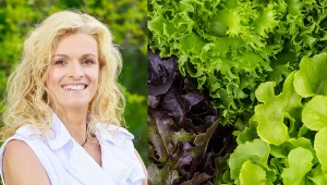 Która sałata jest najzdrowsza? Dietetyczka Justyna Mizera w "halo tu polsat"