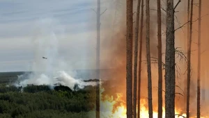Służby walczą z pożarem lasu na Mazowszu