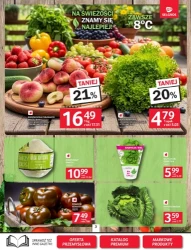Hurt okazji na każdy dzień – Selgros Cash&Carry