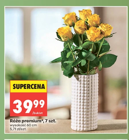Роза Premium