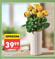 Роза Premium