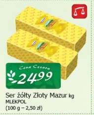 Ser Mlekpol