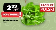 Sałata masłowa Polski