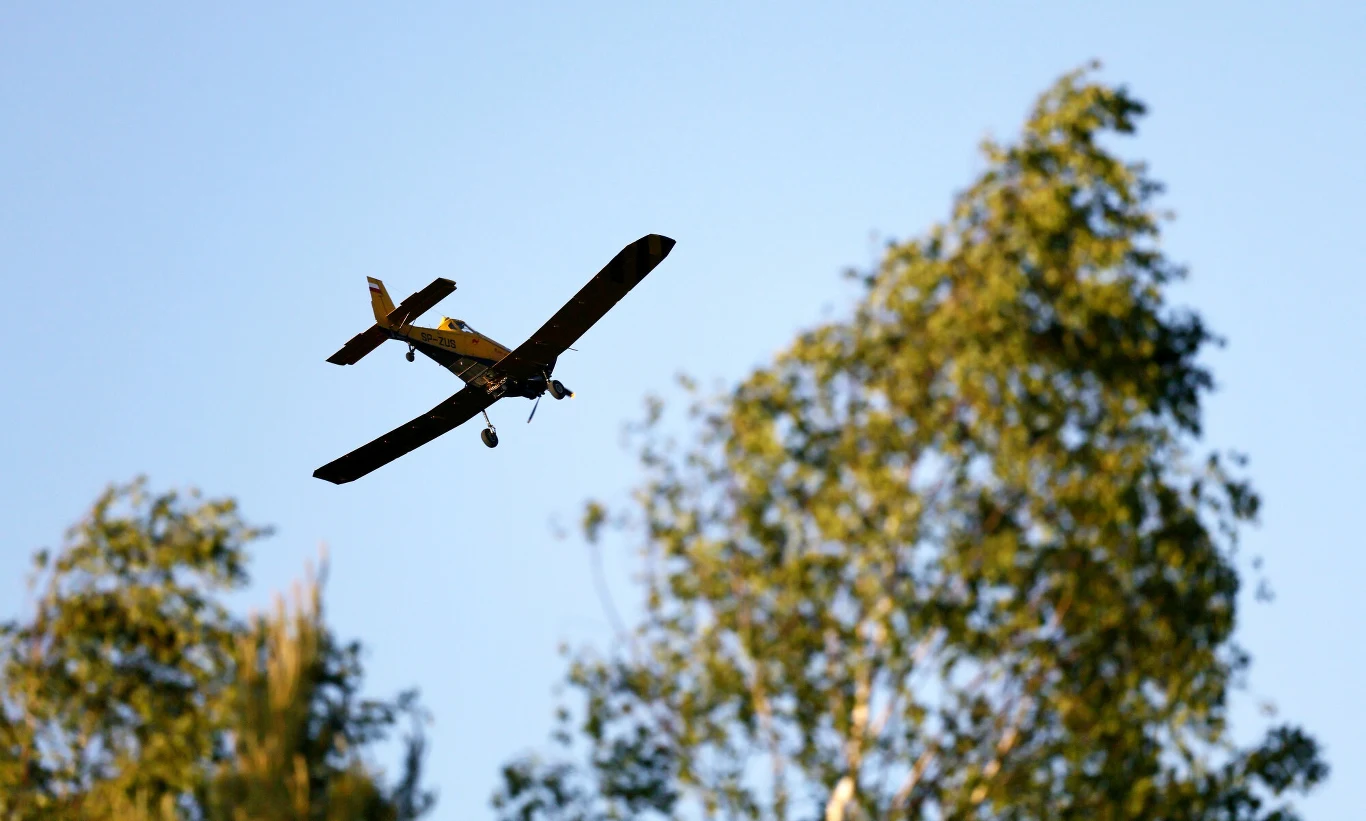 Samoloty PZL M-18 Dromader walczą z pożarem na Mazowszu Mały samolot jednosilnikowy lecący nad wierzchołkami drzew na tle błękitnego nieba.