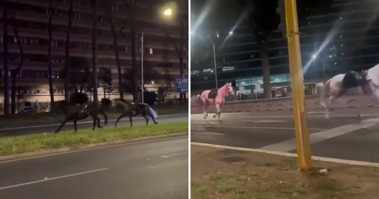 Chaos na ulicach Rzymu. Spłoszone konie ruszyły galopem przez miasto, są ranni