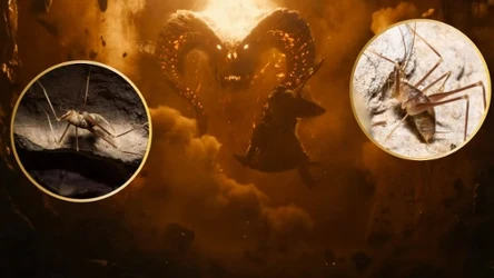 Nowe świerszcze wyglądają jak pająki. Nazwano je na cześć demona Balroga