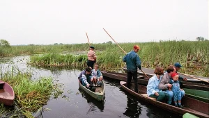 Rzeka Narew traci wodę w cvzasie suszy