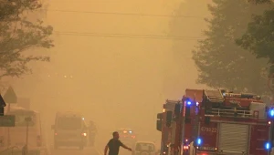 Pożar lasu na Mazowszu z trudem udało się opanować