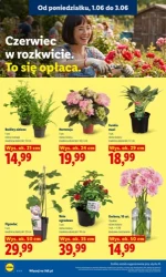 Tydzień najlepszych wyborów - Lidl