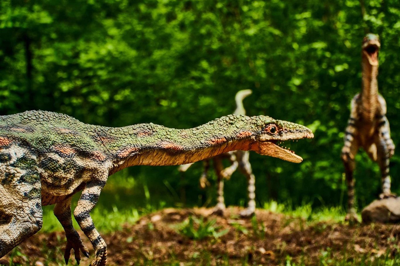 Trzy niewielkie dinozaury poruszające się po zielonym, leśnym terenie, z jednym wyraźnie ukazanym na pierwszym planie, prezentującym jasną skórę z ciemniejszymi liniami.