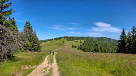 Gorce to urokliwe pasmo górskie. Szlak na Turbacz to jedna z ciekawszych propozycji na wycieczkę. 