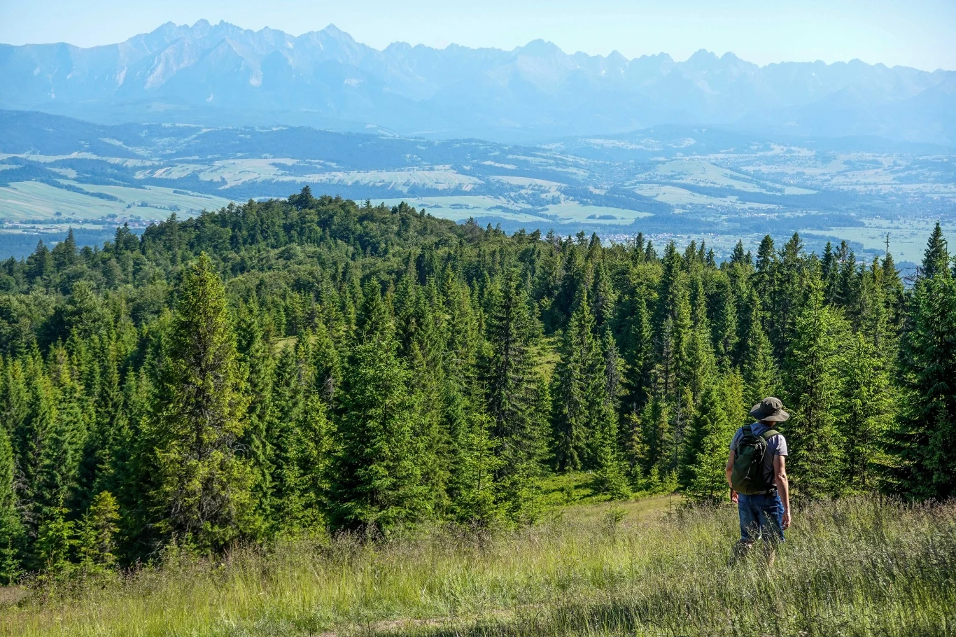 W drodze na Turbacz można podziwiać zachwycające widoki padające m.in. na Tatry. Turysta z plecakiem na tle gęstego lasu iglastego i rozległych gór w oddali.