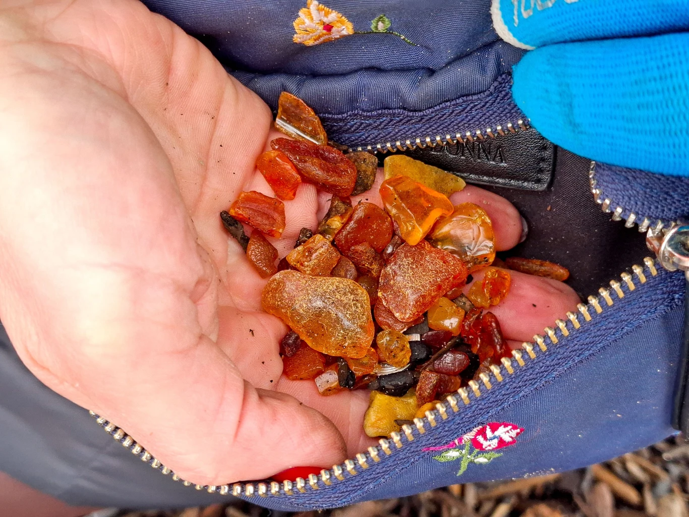 Gdzie nad Morzem Bałtyckim jest najwięcej bursztynu? Wybierz się na plażę w Jantarze. Kilka nieregularnych kawałków bursztynu trzymanych na dłoni, znalezionych nad Morzem Bałtyckim.