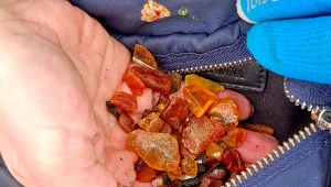 Ta plaża nad Morzem Bałtyckim słynie z bursztynów. Turyści ją uwielbiają