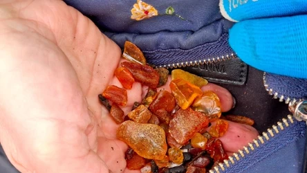 Gdzie nad Morzem Bałtyckim jest najwięcej bursztynu? Wybierz się na plażę w Jantarze.