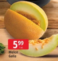 Melon
