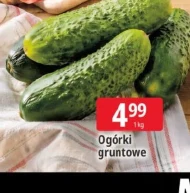 Ogórki