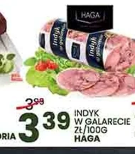 Indyk Haga