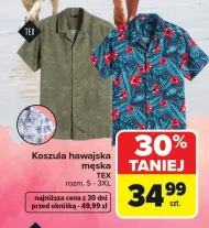 Koszula męska TEX