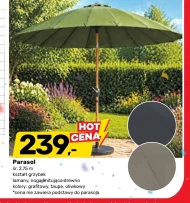 Parasol