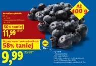 Borówki amerykańskie Plus-Plus