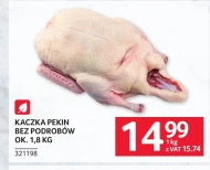 Kaczka Ok.